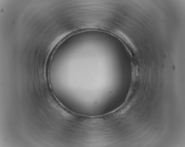 X0000070430884200606231915