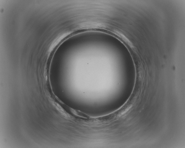 X0000070430885200606231915