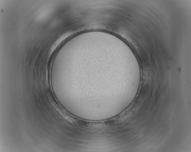 X0000070430886200606231915