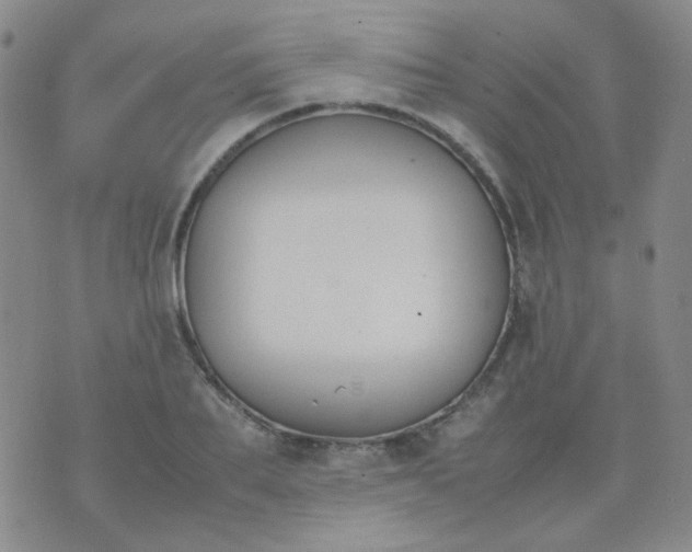 X0000070430887200606231915