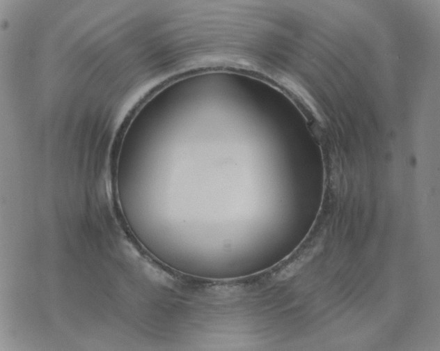 X0000070430888200606231915