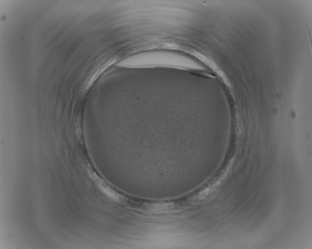 X0000070430889200606231915