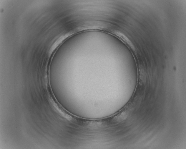 X0000070430890200606231915