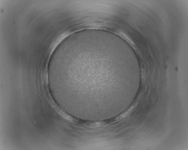 X0000070430891200606231915