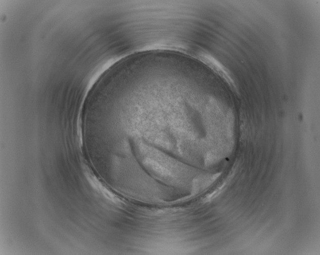 X0000070430892200606231915