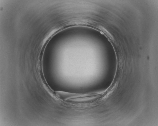 X0000070430893200606231915