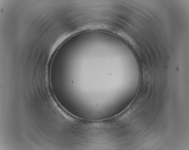 X0000070430894200606231915