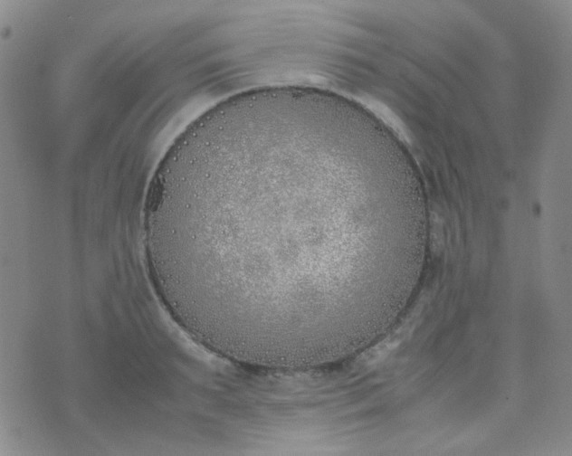 X0000070430895200606231915