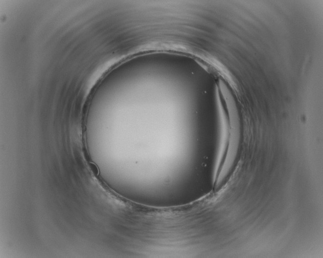 X0000070430896200606231915