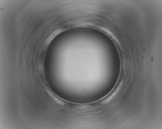 X0000070430897200606231915