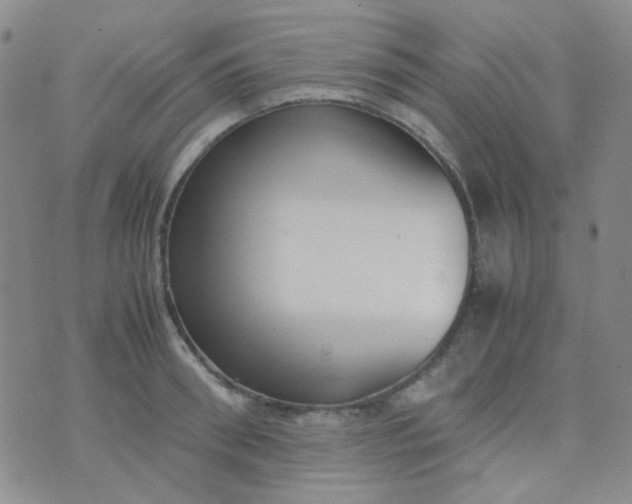 X0000070430898200606231915