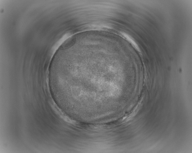 X0000070430899200606231915