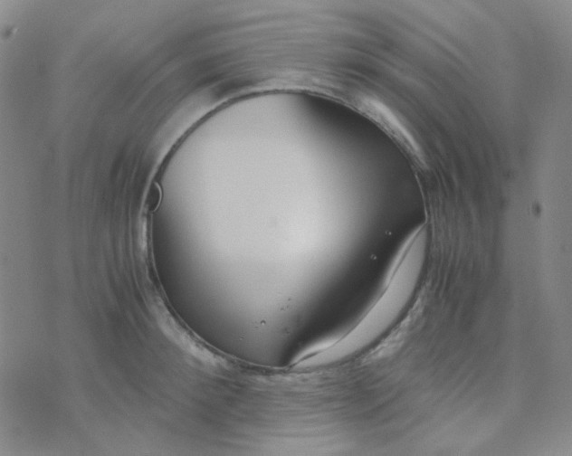 X0000070430900200606231915