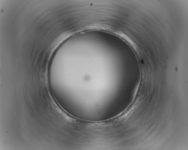 X0000070430902200606231915