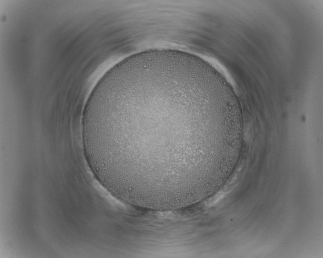 X0000070430903200606231915