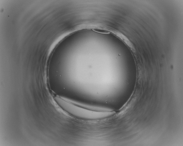 X0000070430904200606231915