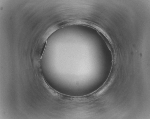 X0000070430905200606231915