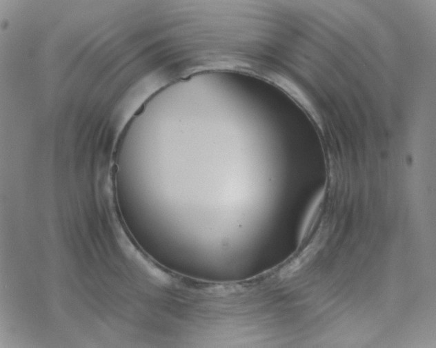 X0000070430906200606231915