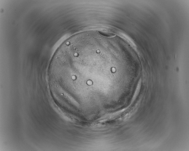 X0000070430907200606231915