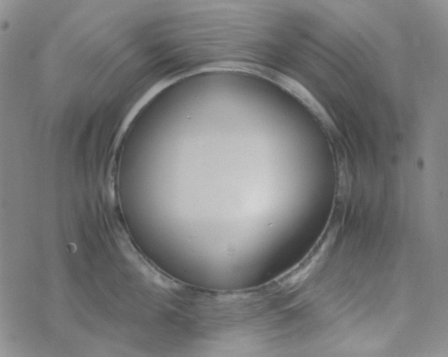 X0000070430908200606231915