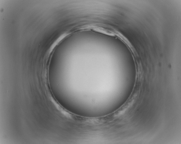 X0000070430909200606231915