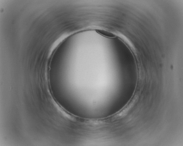 X0000070430910200606231915