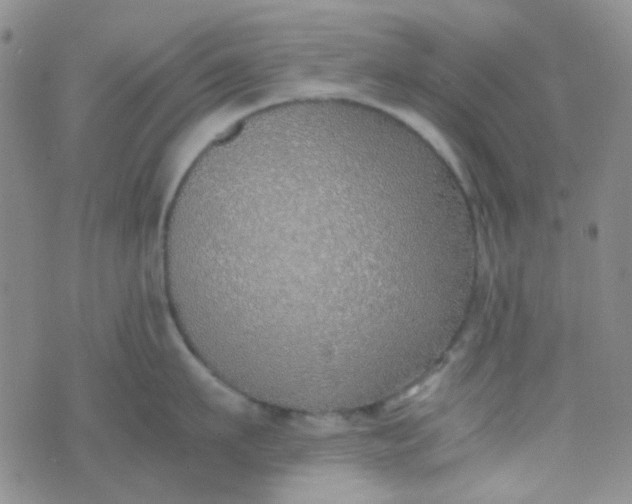 X0000070430911200606231915