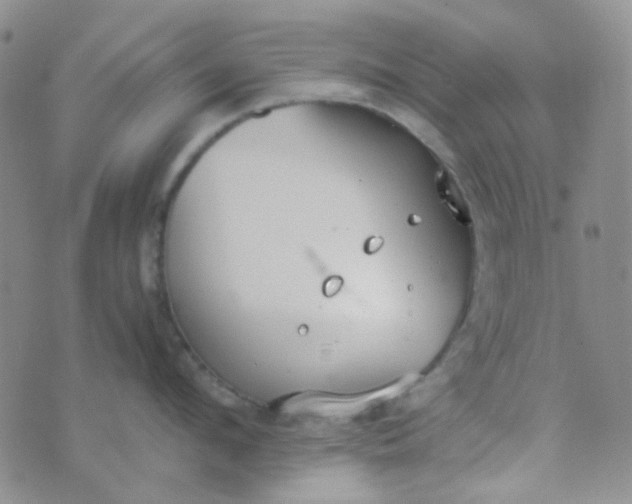 X0000070430912200606231915