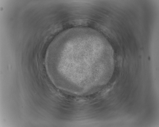 X0000070430913200606231914