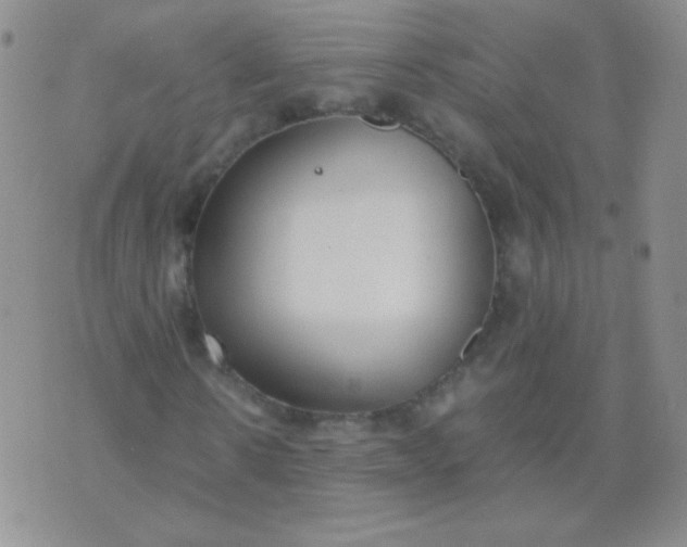 X0000070430914200606231914