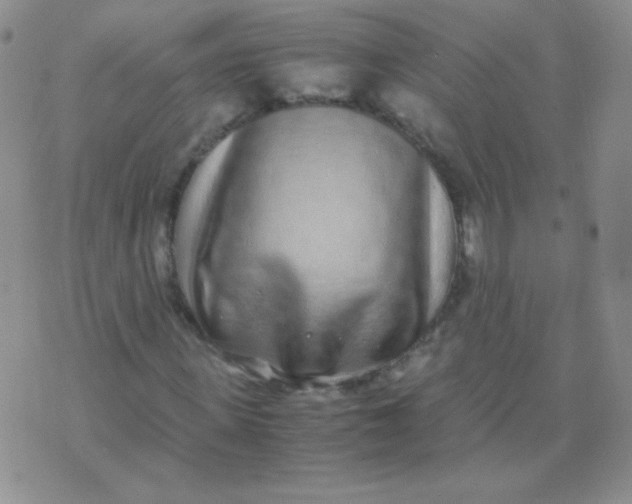 X0000070430915200606231914