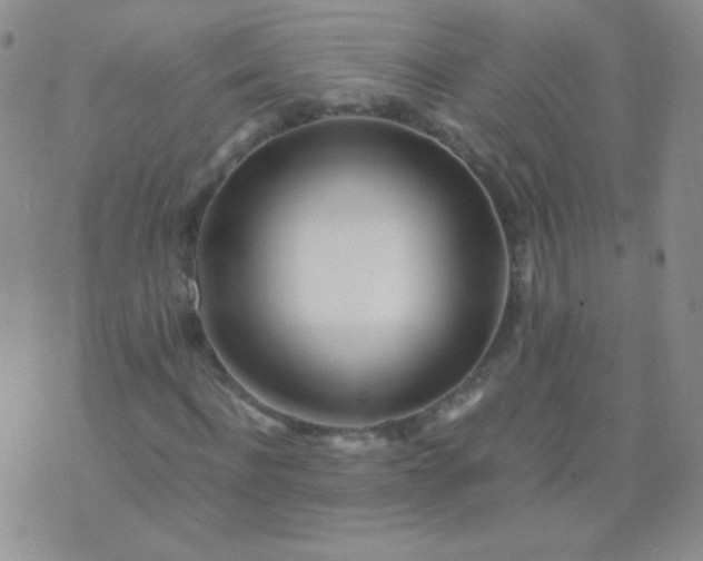 X0000070430916200606231914