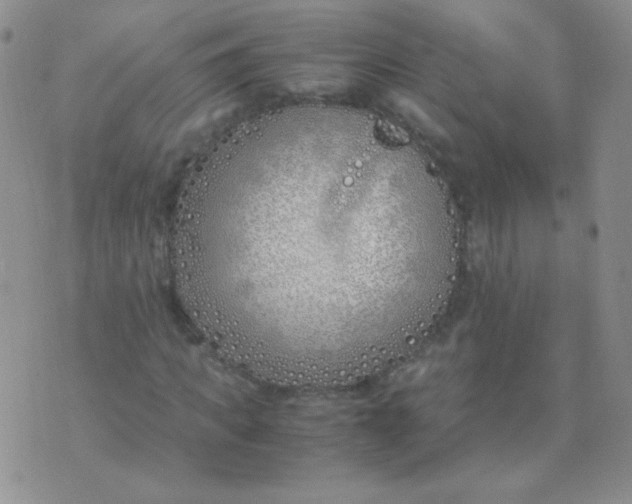 X0000070430917200606231914