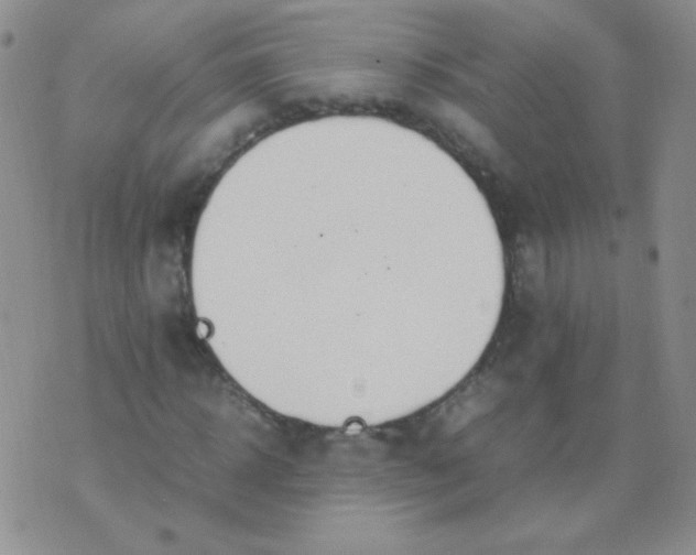 X0000070430918200606231914