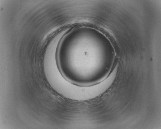 X0000070430920200606231914