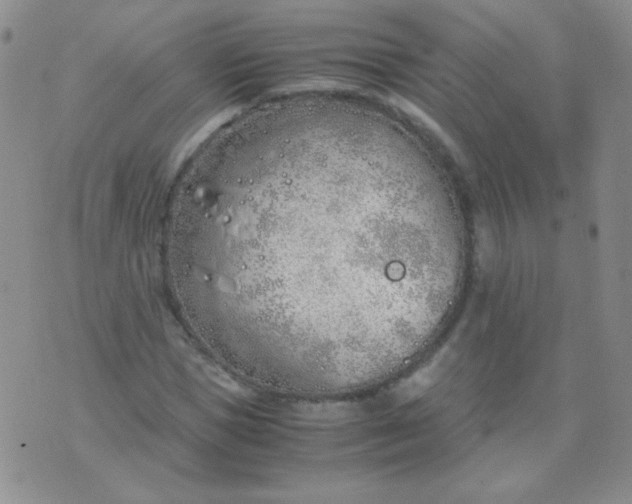 X0000070430921200606231914