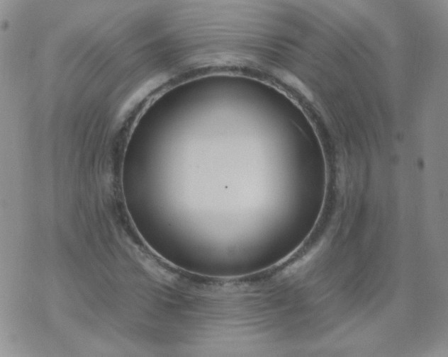 X0000070430922200606231914