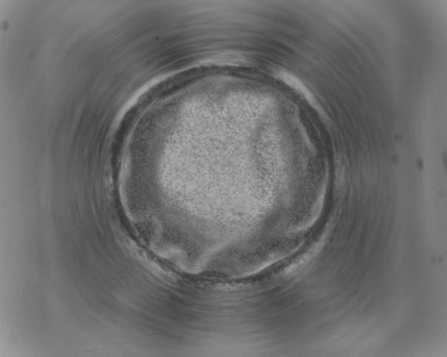 X0000070430923200606231914