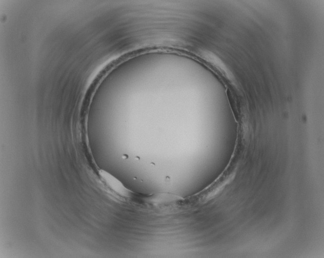 X0000070430924200606231914