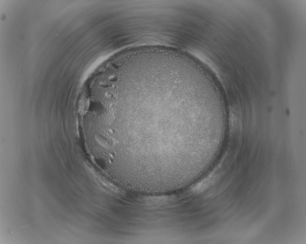 X0000070430925200606231914