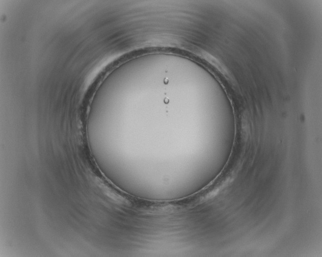 X0000070430926200606231914