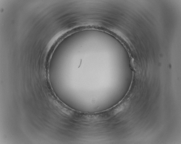 X0000070430927200606231914