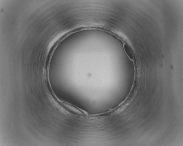 X0000070430928200606231914