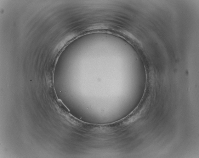 X0000070430929200606231914