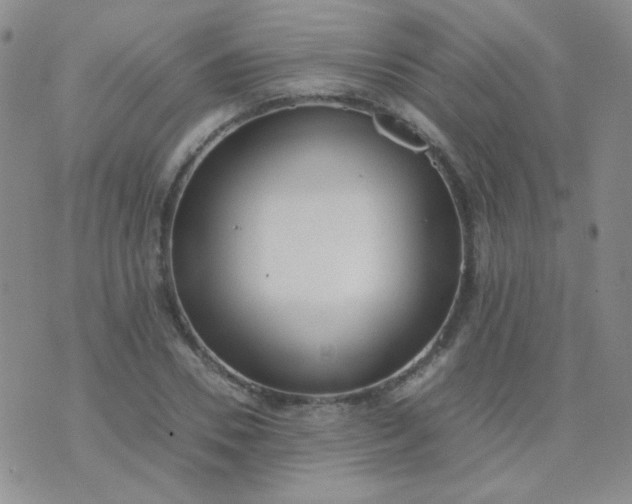 X0000070430930200606231914