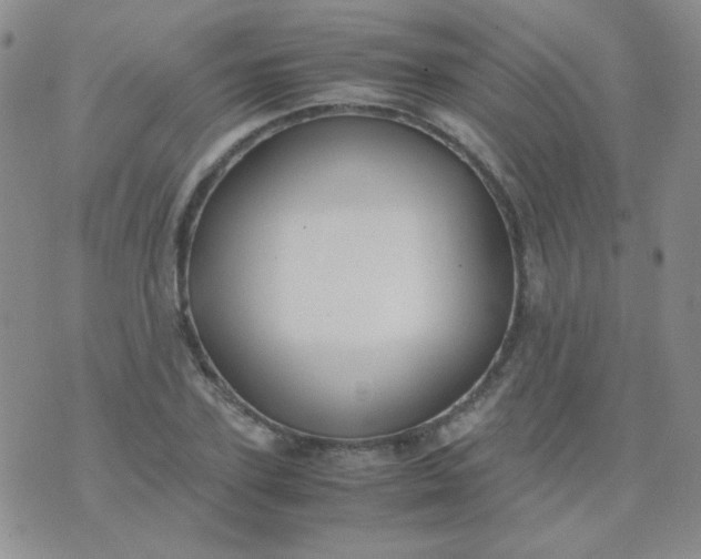 X0000070430931200606231914