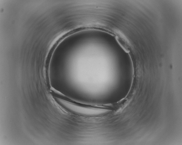 X0000070430932200606231914