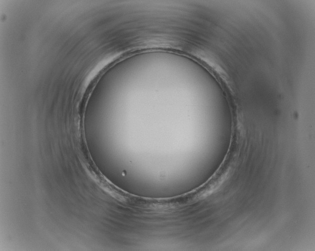 X0000070430933200606231914