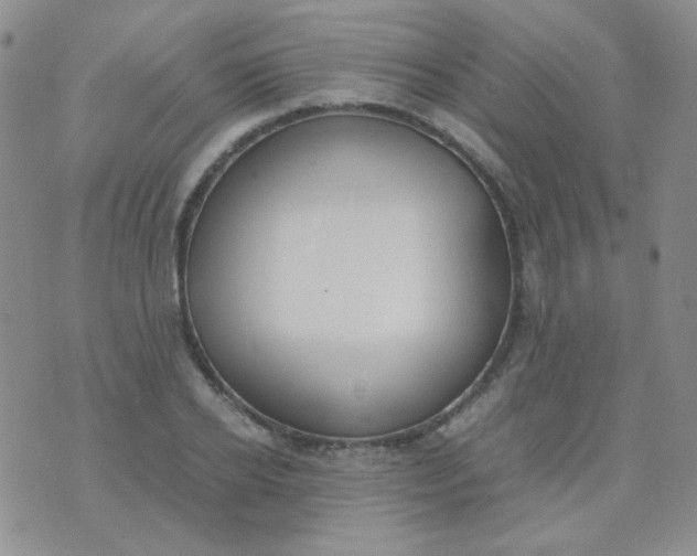 X0000070430934200606231914