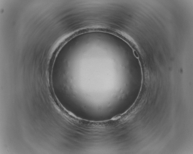 X0000070430935200606231914